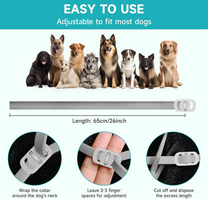 Dog wearing Woyamay flea and tick prevention collar