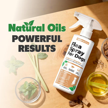 Applying NatureStop flea spray to dog and home surfaces