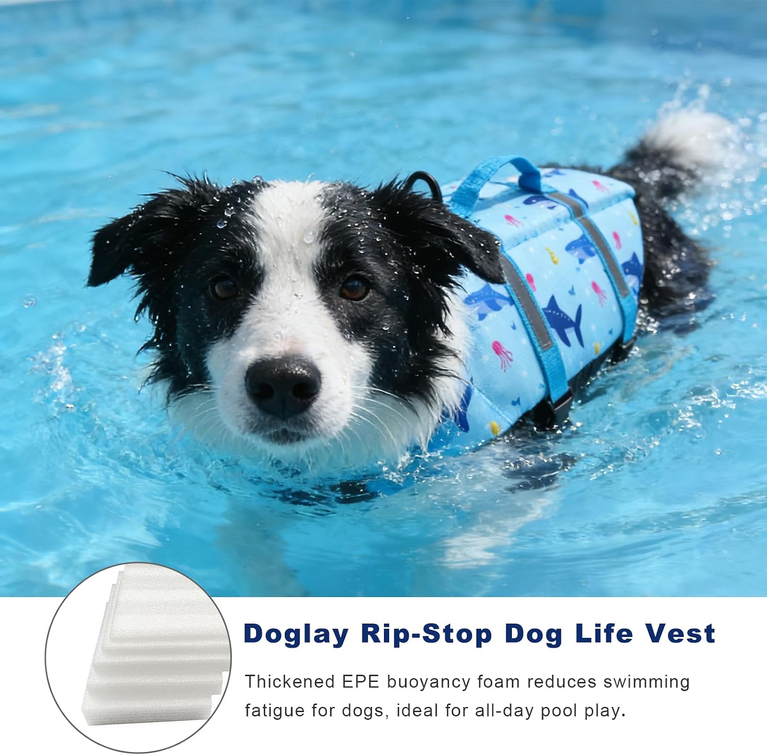 Doglay Dog Life Jacket, Dog Life Vest for Swimming Boating, Adjustable Puppy Life Jacket with Reflective Stripes, Superior Buoyancy Pet Swimming Vest for Small Medium and Large Dogs - Image 11