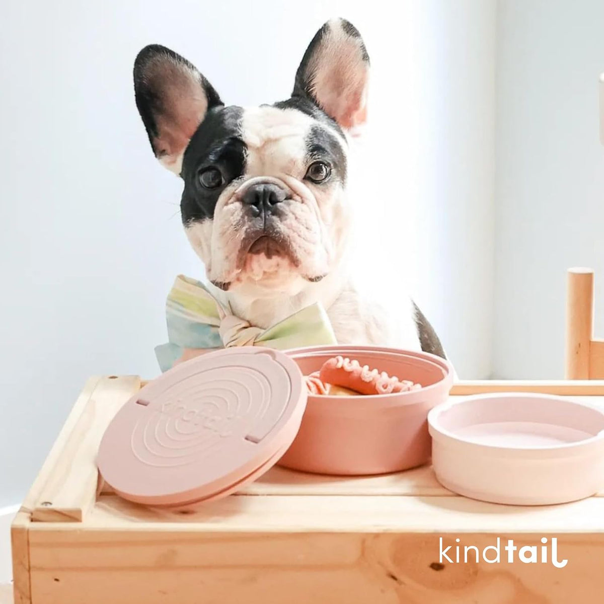 KindTail Dog Travel Bowls - Set of 2 Portable Pet Food & Water Dishes with Lid & Handle - Each Nesting Container Includes a Non-Slip Silicone Base - Microwave & Dishwasher Safe - BPA & Toxin-Free - Image 9