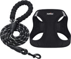 Adjustable strap detail on matilor small dog harness