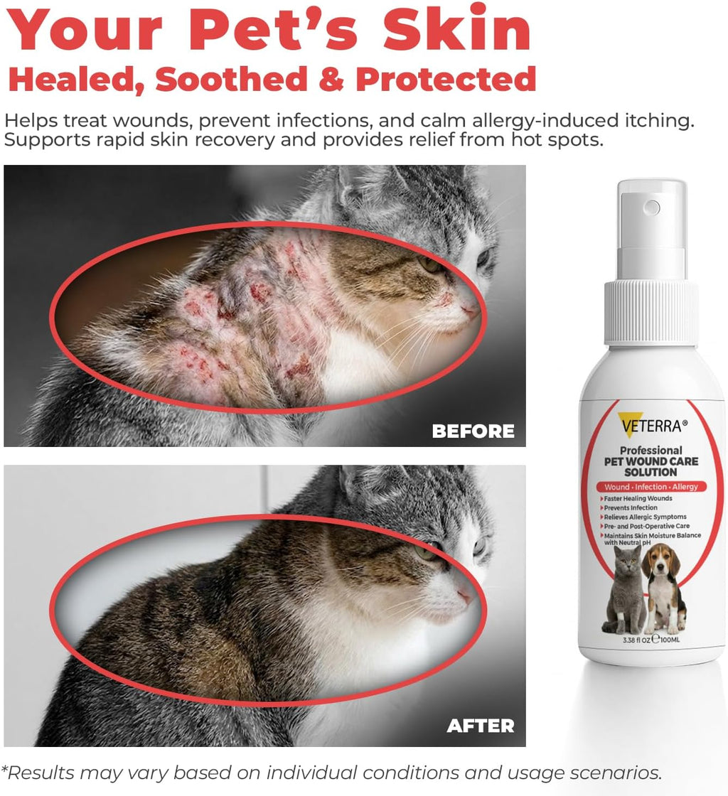 Applying gentle wound care spray to a dog skin irritation