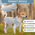 A small Chihuahua wearing the thick winter dog clothes for thermal outdoor protection.