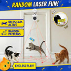 Interactive pet entertainment device with built-in laser pointer feature.