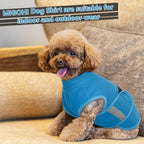 Small dog wearing Migohi calming vest during a thunderstorm
