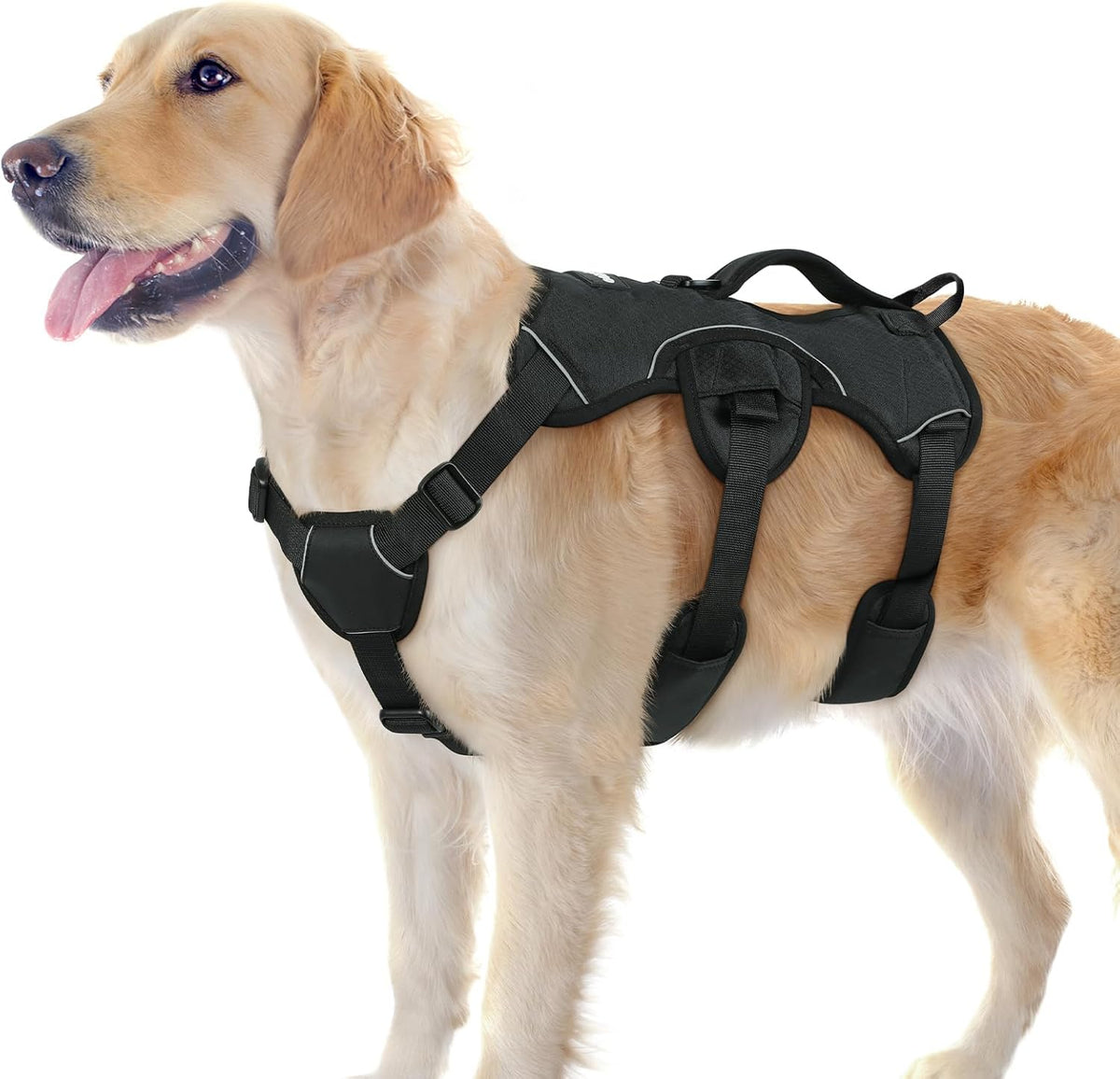 Rabbitgoo large escape proof dog harness front view black