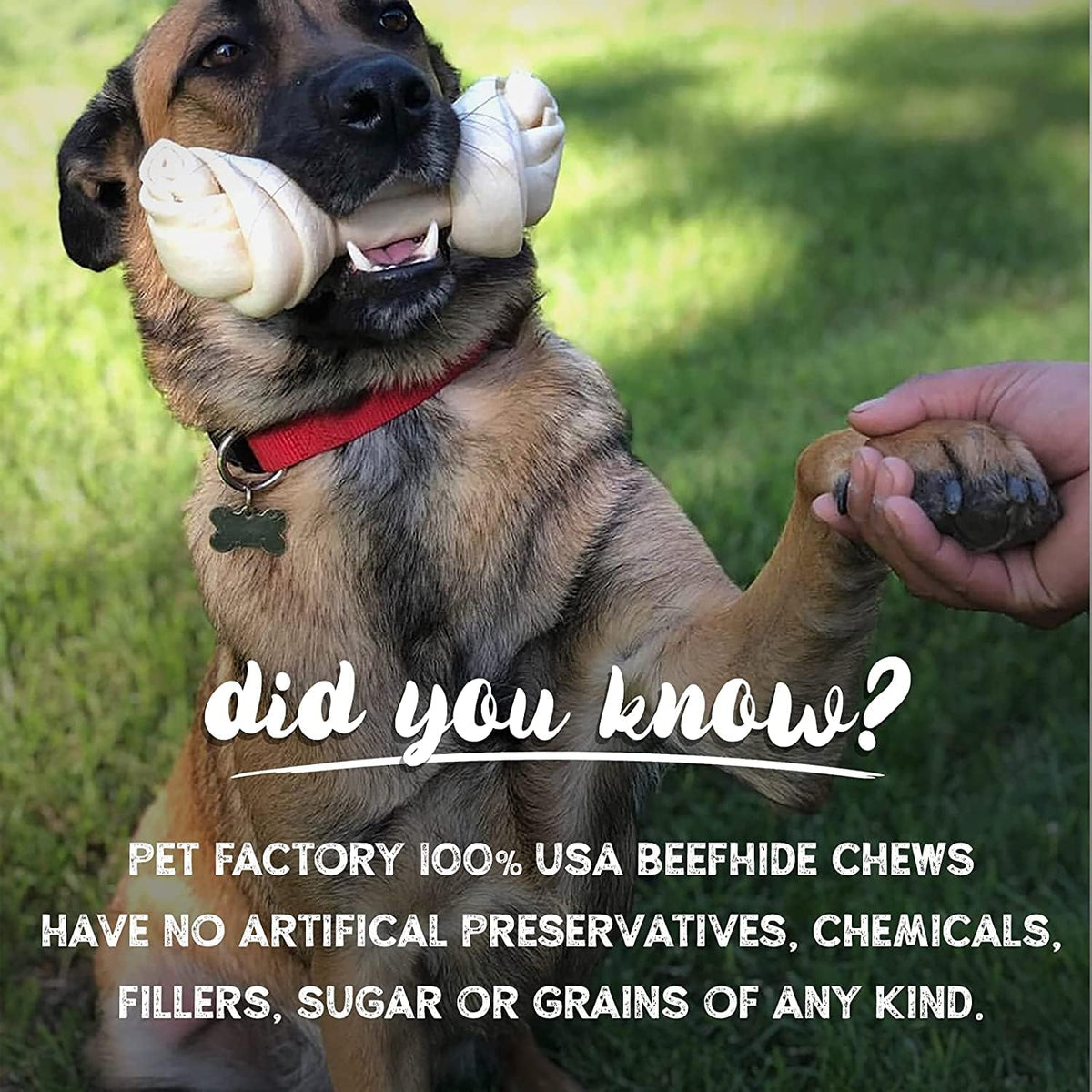 Pet Factory authentic imported USA premium rawhide bones 8 count