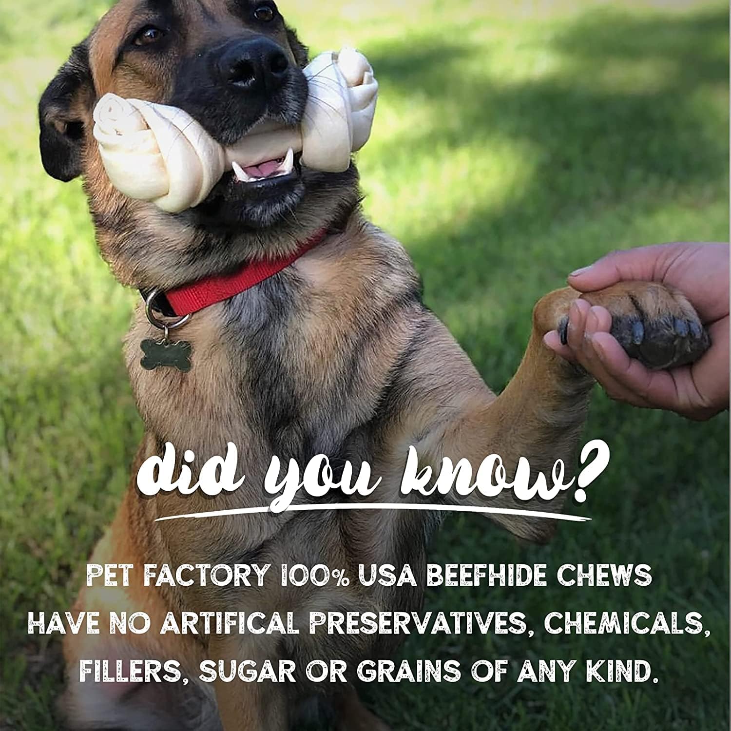 Safe and highly digestible braided dog treats made in the USA