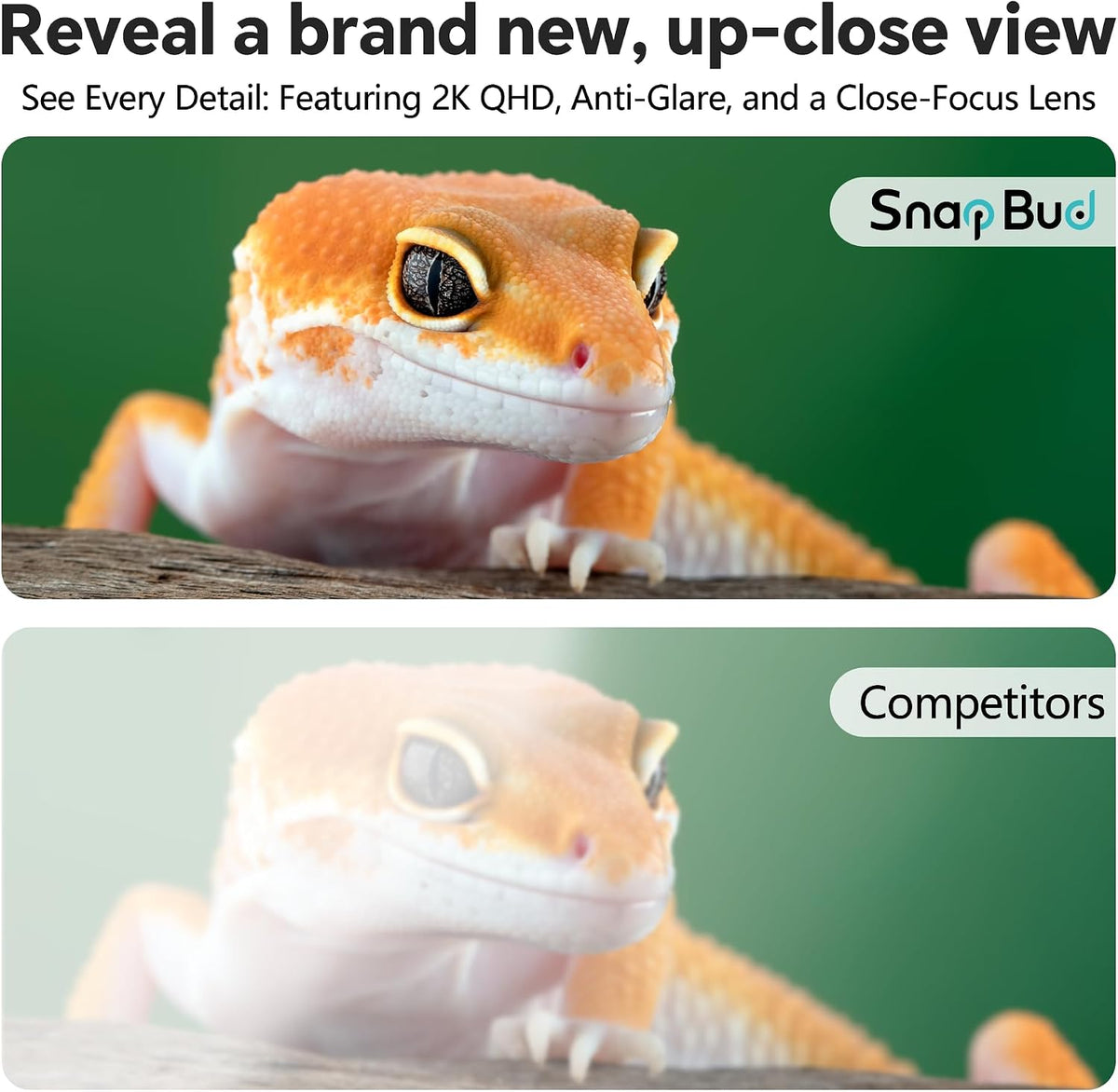 SnapBud smart pet camera installed on an aquarium tank using the angled magnetic mount to eliminate reflection.