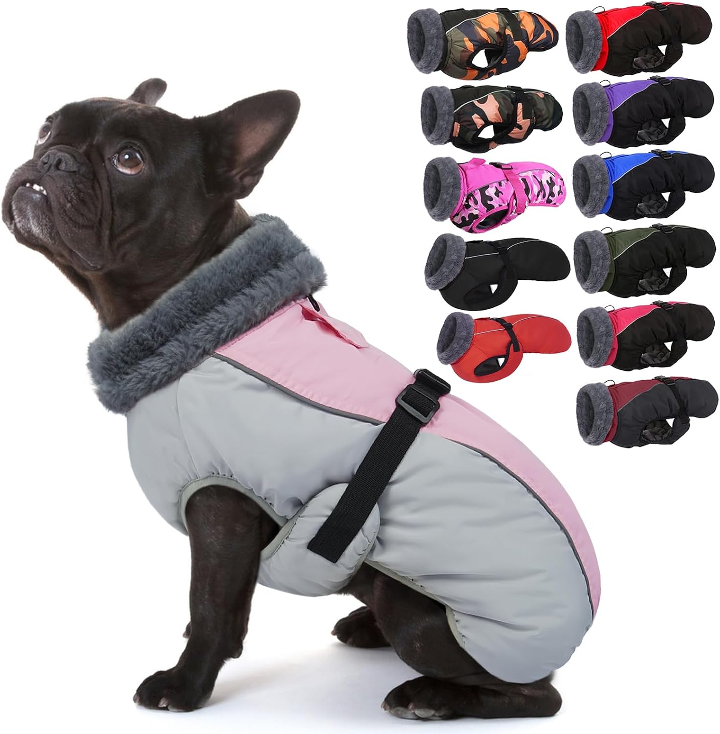 IECOii winter dog jacket size chart and fit guide