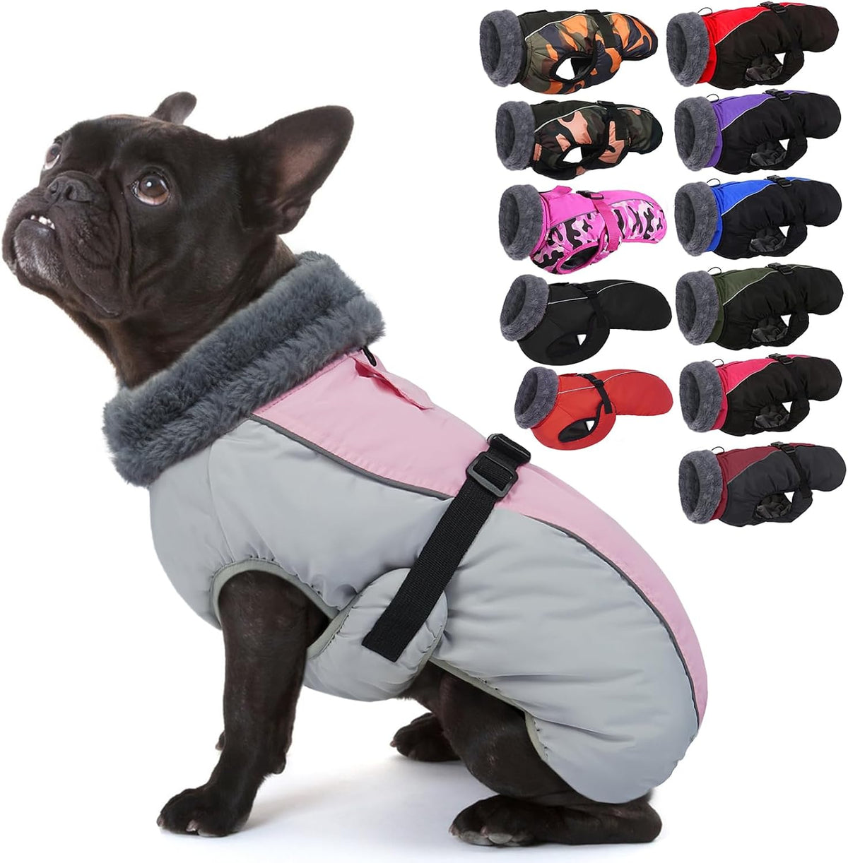 IECOii winter dog jacket size chart and fit guide