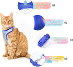 Breathable mesh cat walking harness with reflective trim detail for visibility
