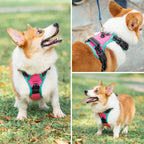 Large pink Phoepet harness for walking training