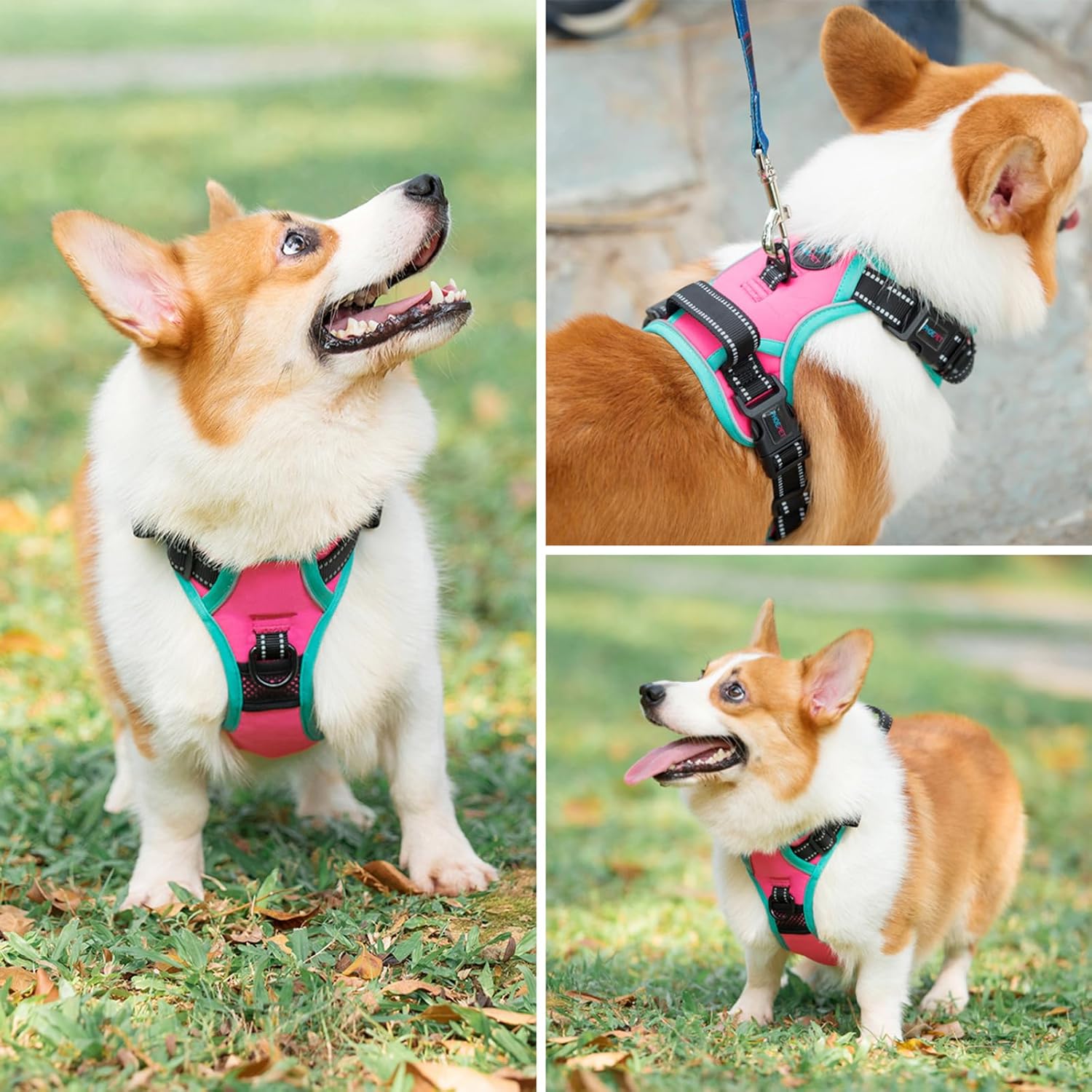 Large pink Phoepet harness for walking training