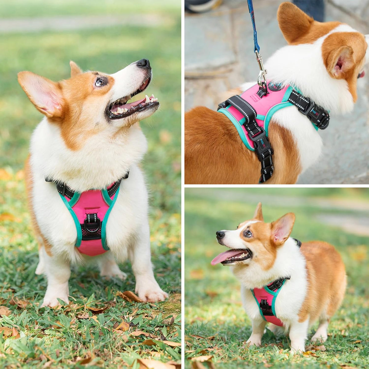 Large pink Phoepet harness for walking training