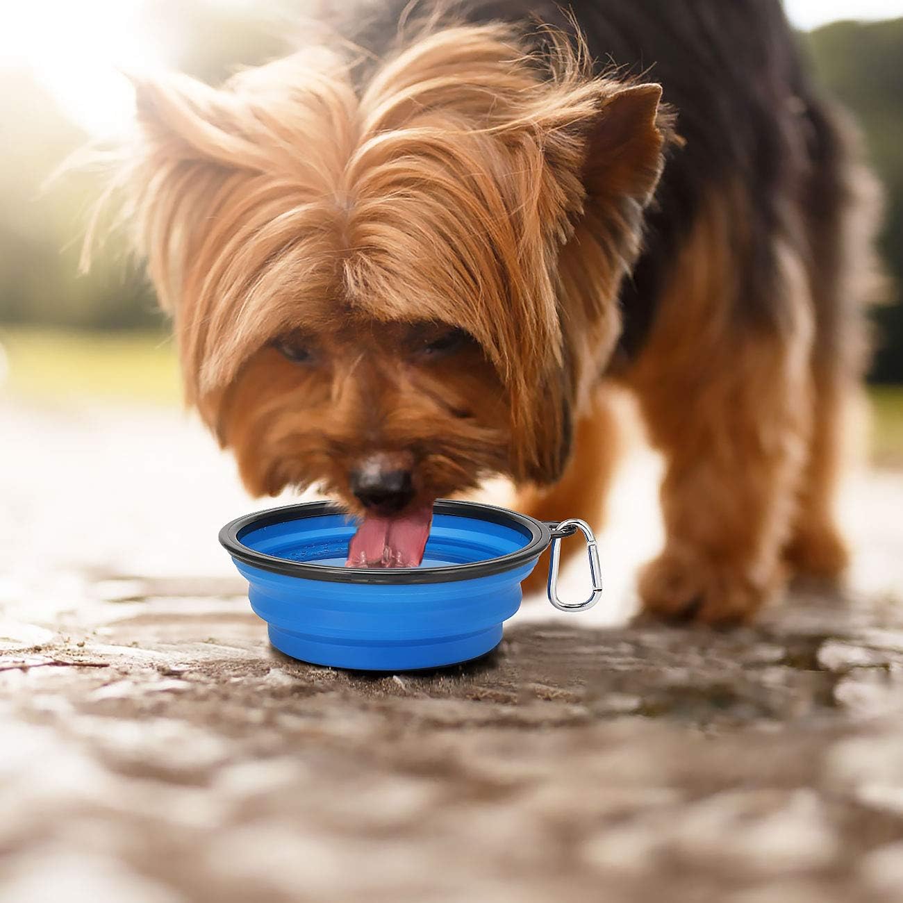 Kytely large travel pet bowls showing the durable black rim construction and flexible body