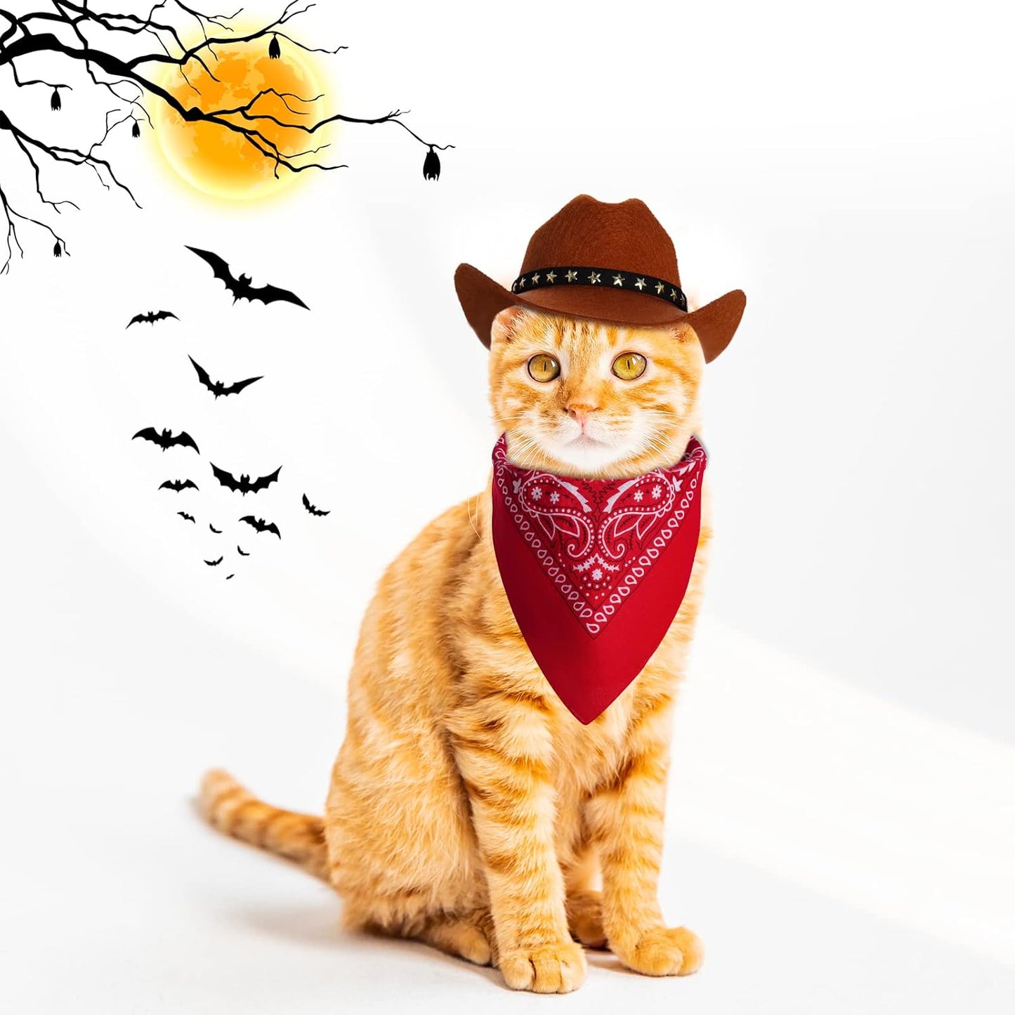 Choyaxo dog cowboy hat showing the adjustable chin strap mechanism clearly.