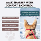 Fursdoly black five feet slip lead collar and leash combination