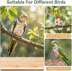 Bird Diaper with Waterproof Inner & Diapers Replacement - Image 4