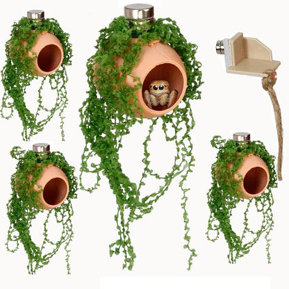 YOMENO jumping spider habitat accessories package components arranged on a neutral background