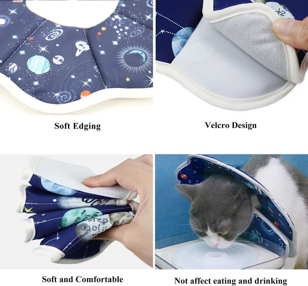 QIYADIN comfortable soft cat cone with scallop edges on a domestic kitten