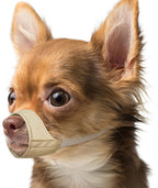 Mayerzon Short Snout Dog Muzzle front view