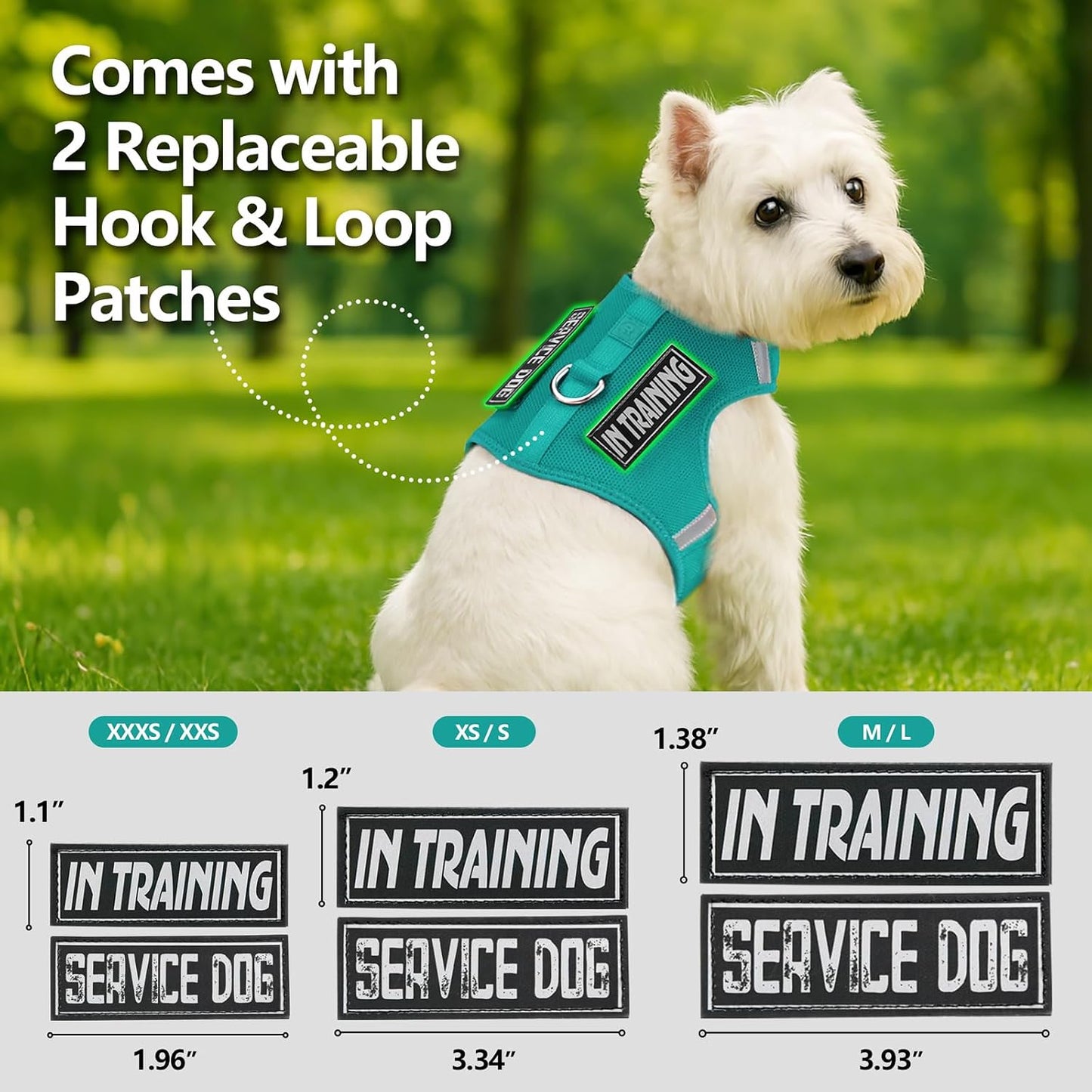 Reflective dog vest for small breeds showing four nighttime safety strips