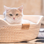 CHEERHOME PETS Cat Bed Basket with Cushion, Cotton Rope Woven Pet Bed for Indoor Cats Couch, Stimulicat Cat Bed Handwoven Breathable, All Season Universal (White) - Image 9