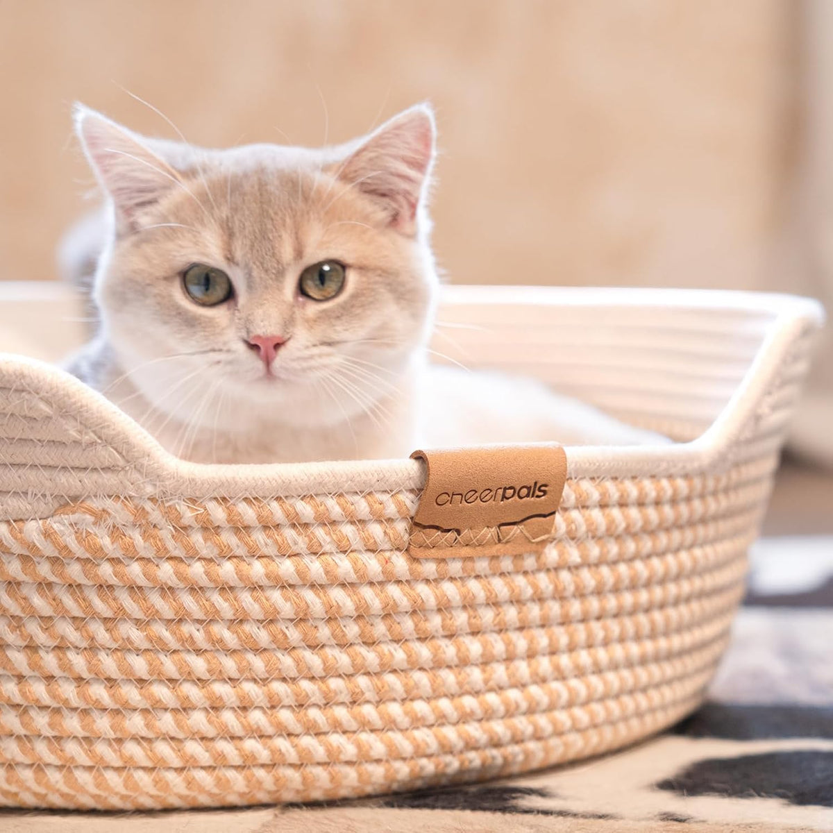CHEERHOME PETS Cat Bed Basket with Cushion, Cotton Rope Woven Pet Bed for Indoor Cats Couch, Stimulicat Cat Bed Handwoven Breathable, All Season Universal (White) - Image 9