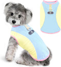 Axiijgl blue dog cooling vest front view with integrated D-ring