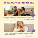 Calming Dog Cologne Spray Long Lasting, Natural Dog Cologne for Male Dogs, Waterless Lavender Pet Spray - Anxiety Relief, Alcohol-Free & Hypoallergenic for Dogs & Cats, 2.37 fl oz - Image 9