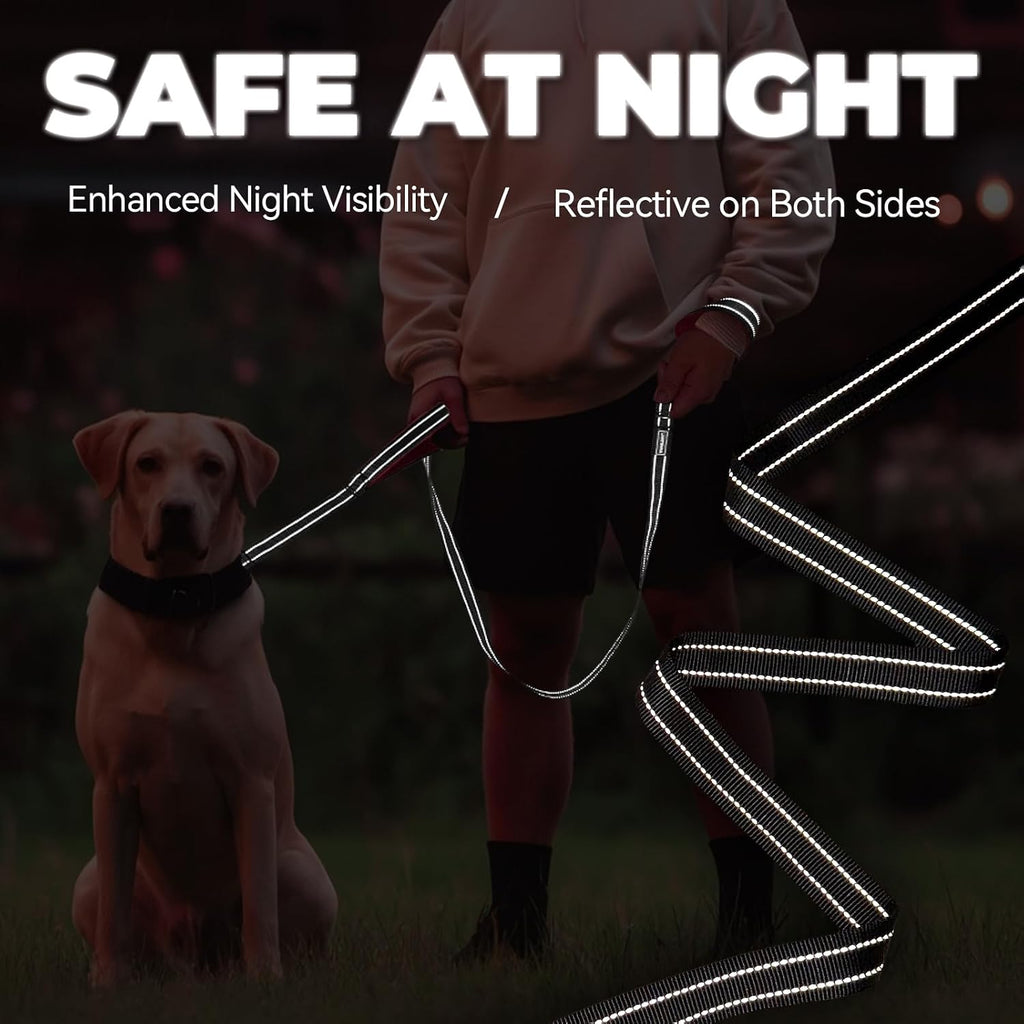 Vivaglory double webbing nylon leash demonstrating close control usage via the integrated lower traffic loop.