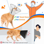Joypig anti lick dog collar worn by a golden retriever displaying full coverage protection