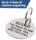 GoTags customized identification tag for dogs and cats attached securely to a collar.