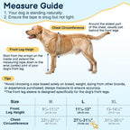 Barkless breathable dog sleeve for front leg wounds rear angle large breed dog suit.