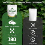 Oil of Oregano with Black Seed Oil, 180 Count Oregano Oil Capsules with 4X Strength of Carvacrol and Thymoquinone, Non-GMO, Natural Herbal Health Supplement - Image 7