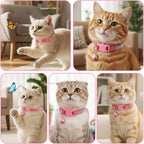 Packaging presentation of the authentic imported Bremorou pink rhinestone cat collar.