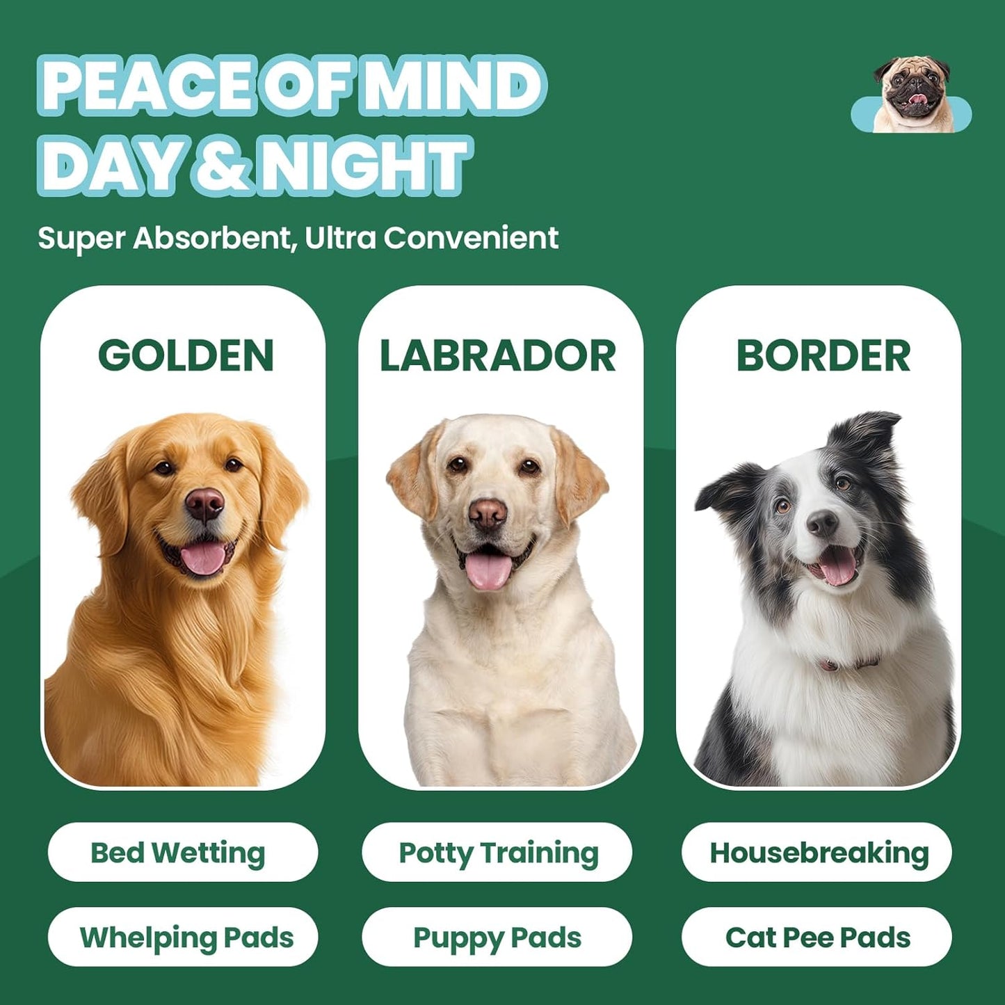Quick dry puppy pee pads showing liquid transformation into gel for odor control.