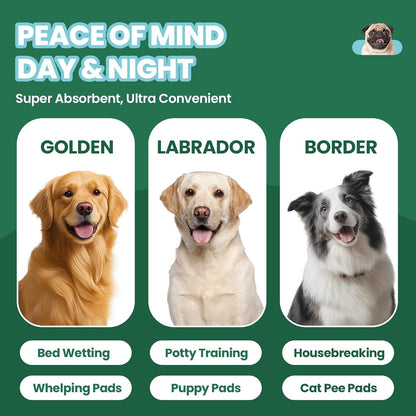 Quick dry puppy pee pads showing liquid transformation into gel for odor control.