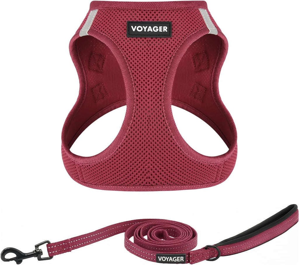 Voyager Step-in Air Cat Harness & Leash Set - Moss Green, XS - Image 12