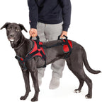 Doggie Stylz multi-functional full-body dog lifting harness front view