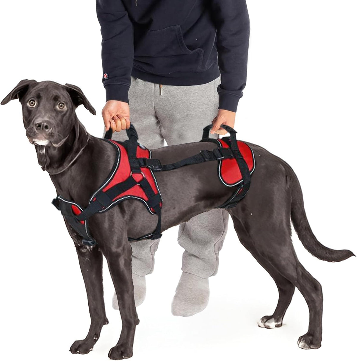 Doggie Stylz multi-functional full-body dog lifting harness front view