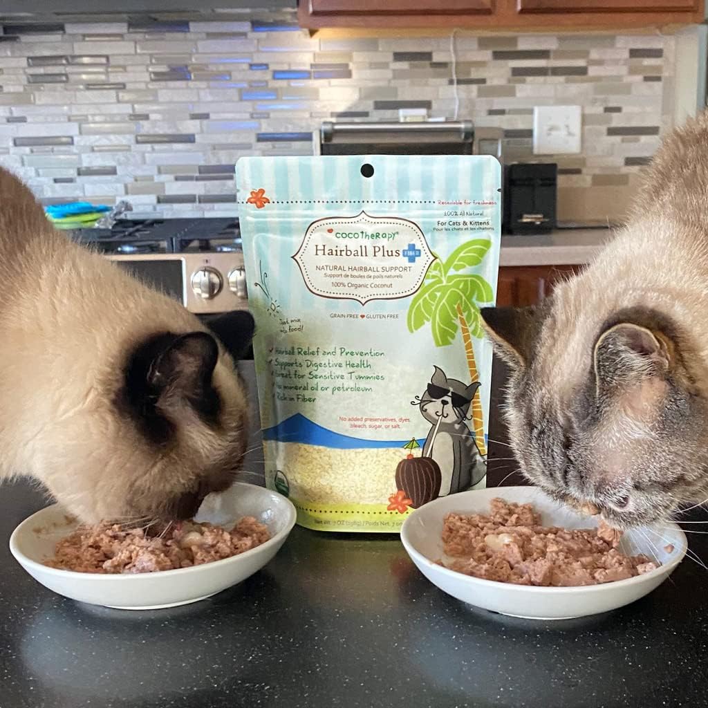 Happy kitten enjoying natural dietary supplement food topper