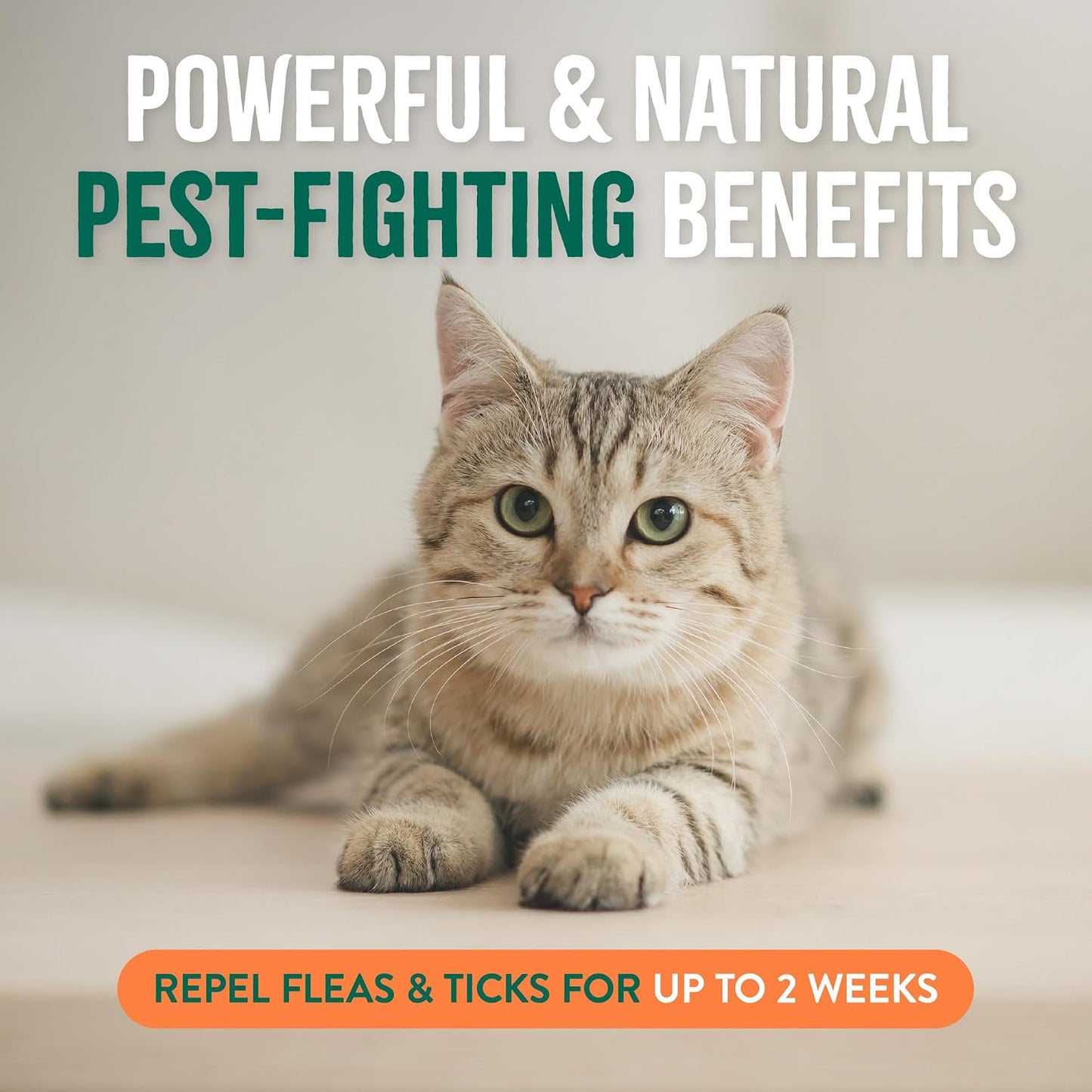TropiClean waterless cat pest defense spray being applied to indoor pet bedding and home furniture.