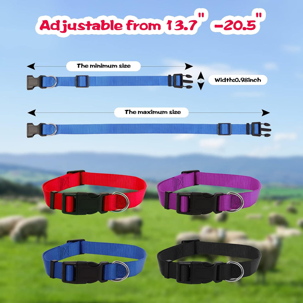 Close up of the stainless steel buckle and D-ring on the nylon livestock collar
