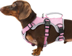 Huntboo Escape Proof Dog Harness, Escape Artist Harness, Reflective Dog Harness with Handle, Durable,Adjustable Vest for Small Medium Large Dogs Walking, Training, and Running Gear(Technicolor Blue,S) - Image 10