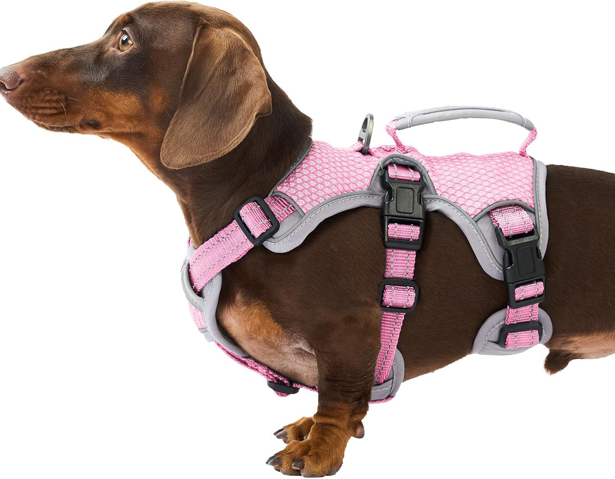 Huntboo Escape Proof Dog Harness, Escape Artist Harness, Reflective Dog Harness with Handle, Durable,Adjustable Vest for Small Medium Large Dogs Walking, Training, and Running Gear(Technicolor Blue,S) - Image 10