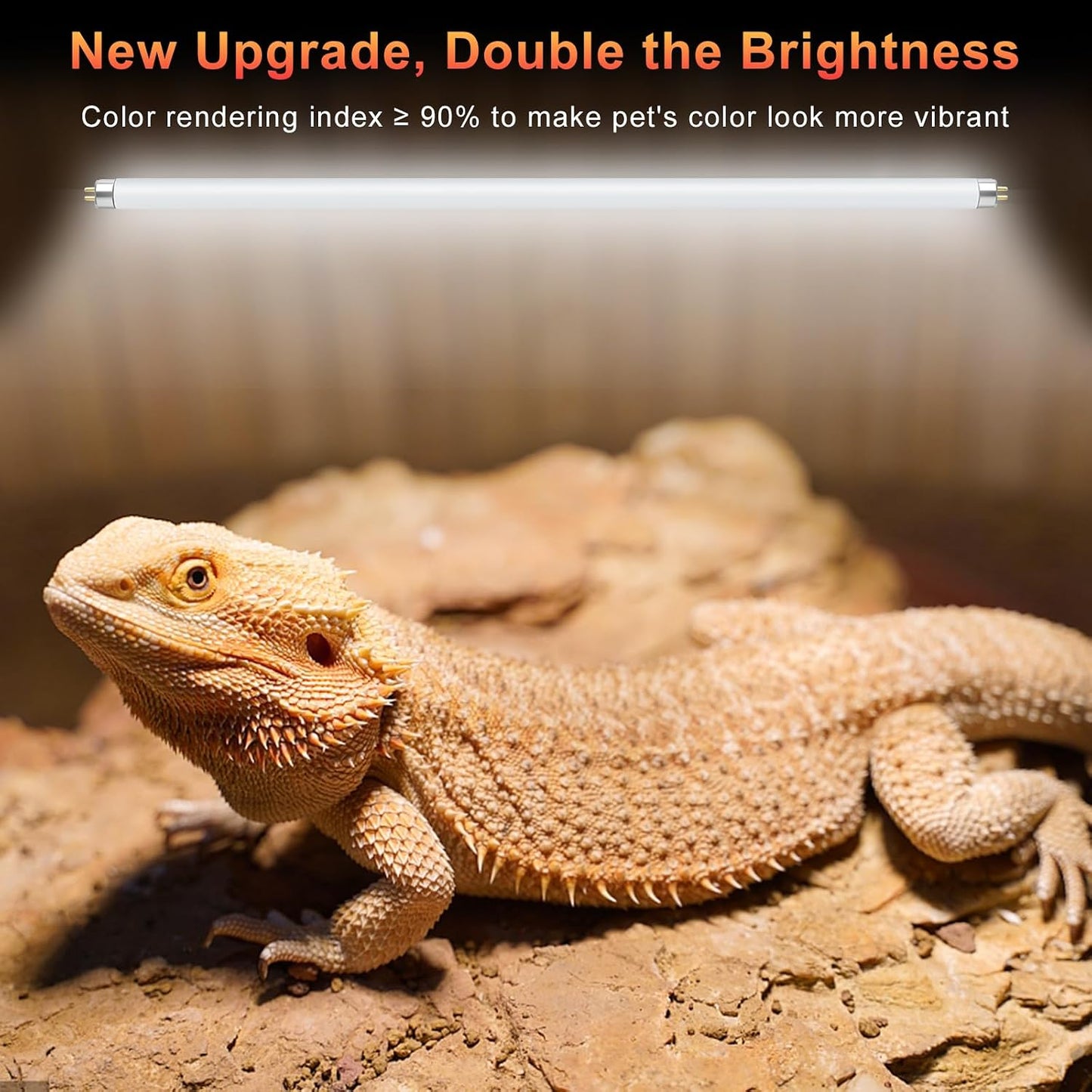 Lucky Herp twenty-four watt fluorescent lamp tube packaging for desert lizards.