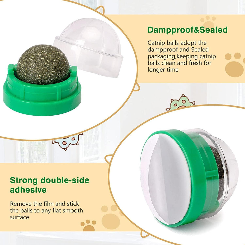Top down view of edible catnip roller balls