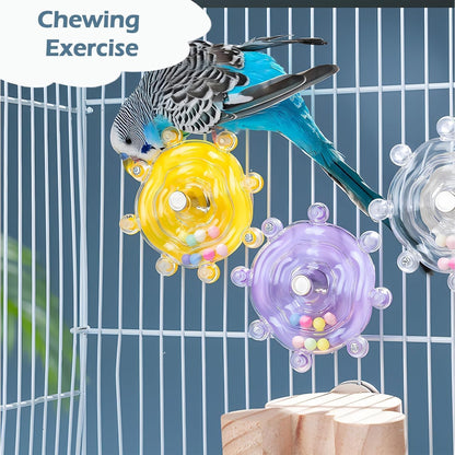 Interactive spinner rattle parrot toy clear body showing interior beads